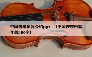 中国传统乐器介绍ppt -（中国传统乐器介绍300字）